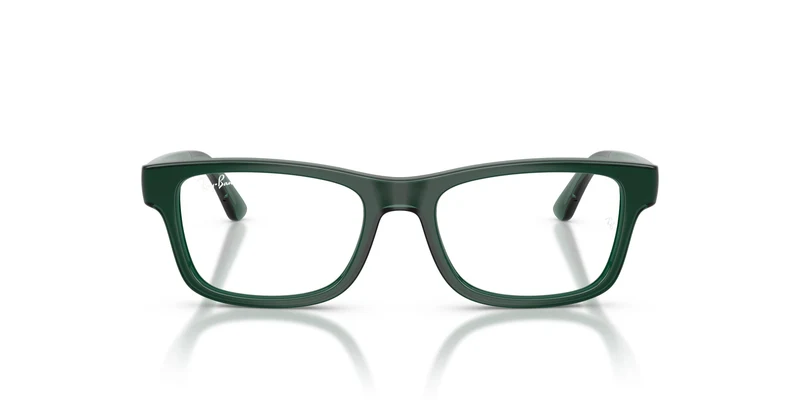 Ray-Ban RY1951 7545 48