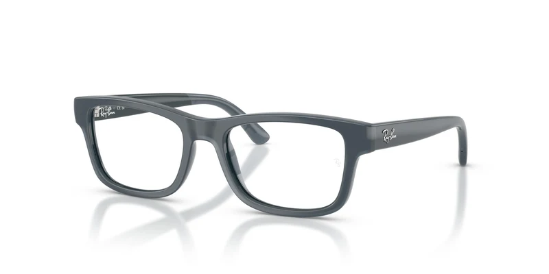 Ray-Ban RY1951 7546 48