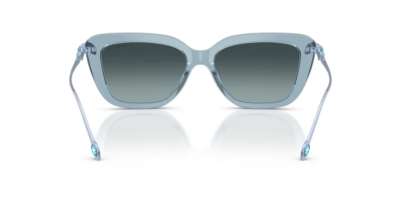 Swarovski SK6065U 1108V1 55
