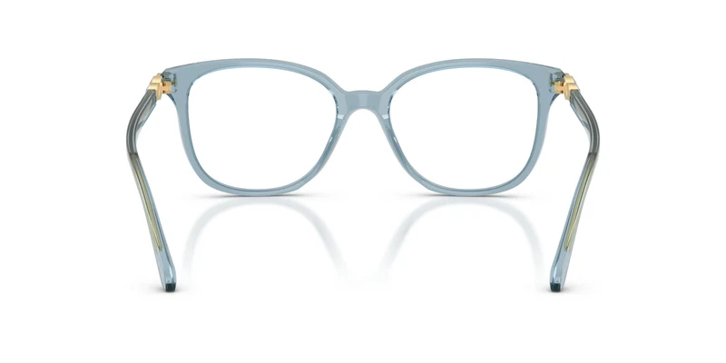 Swarovski SK2069 1108 51