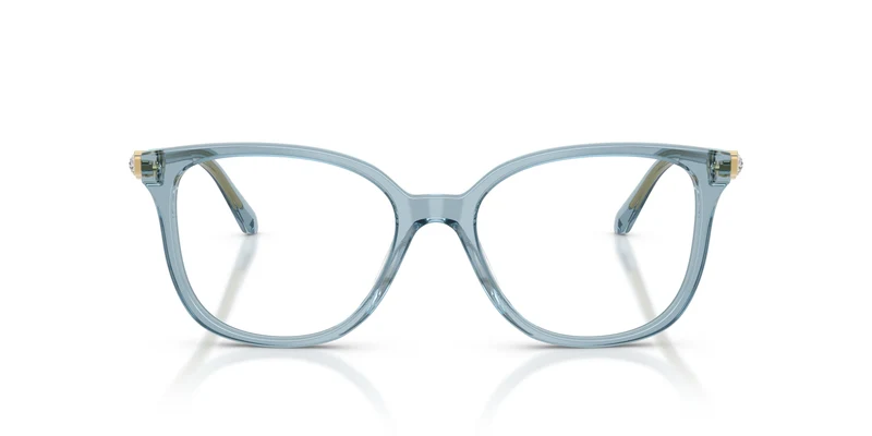 Swarovski SK2069 1108 53