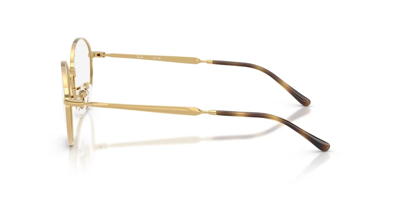 Ray-Ban RX6558 2500 54