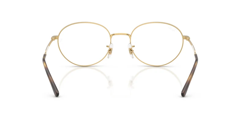 Ray-Ban RX6558 2500 54