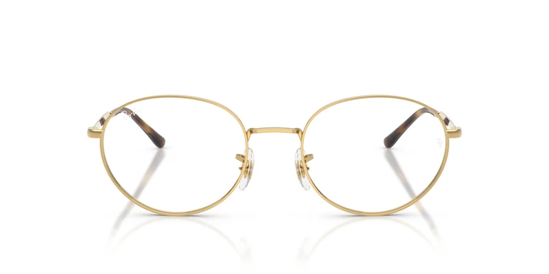 Ray-Ban RX6558 2500 54