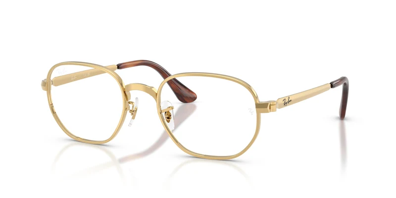 Ray-Ban RX6559 HEXAGONAL MAX 2500 52