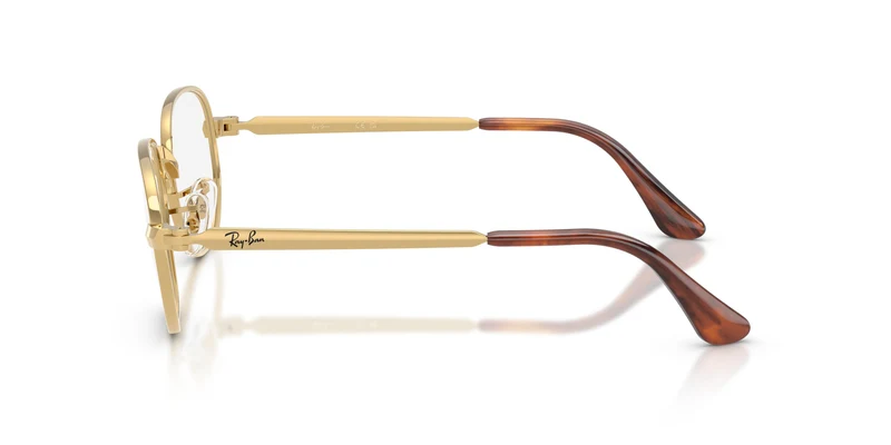 Ray-Ban RX6559 HEXAGONAL MAX 2500 54