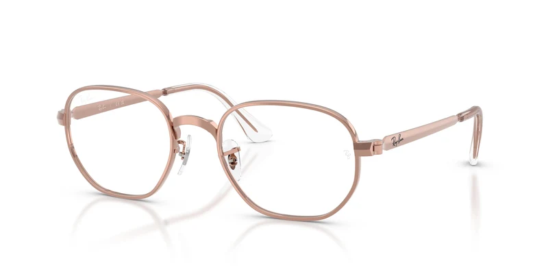Ray-Ban RX6559 HEXAGONAL MAX 2943 54