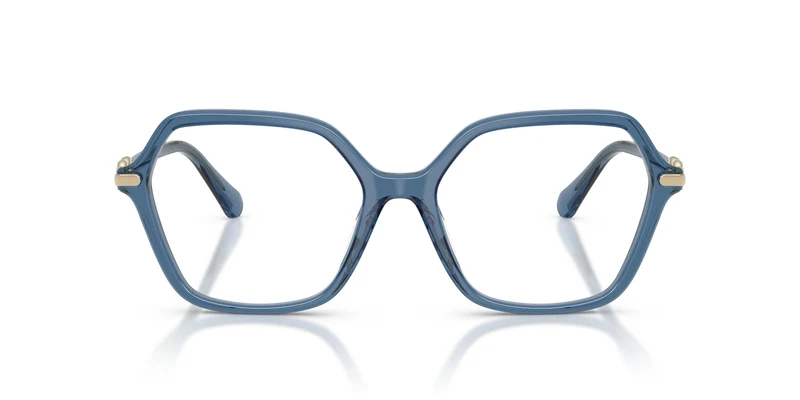 Swarovski SK2075 1110 54