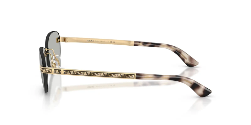 Versace VE2307 15238V 56