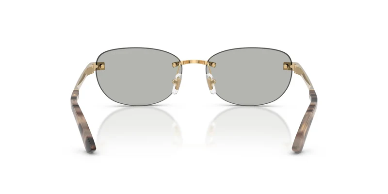 Versace VE2307 15238V 56