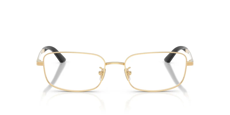 Versace VE1324D 1523 54