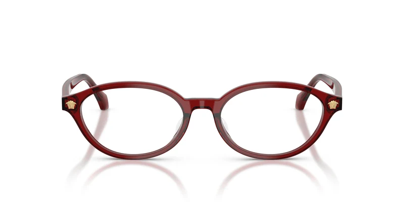 Versace VE3393D 5540 53