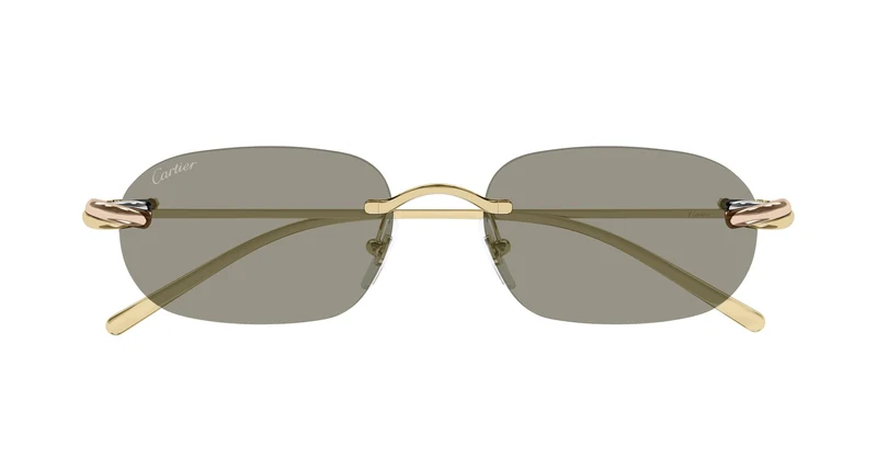 Cartier CT0686S 003 55