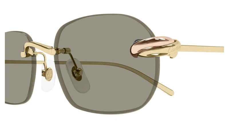 Cartier CT0686S 003 55