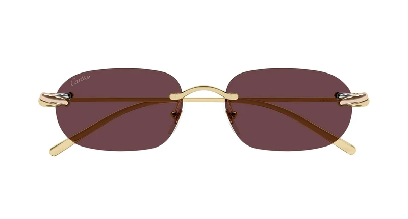 Cartier CT0686S 004 55