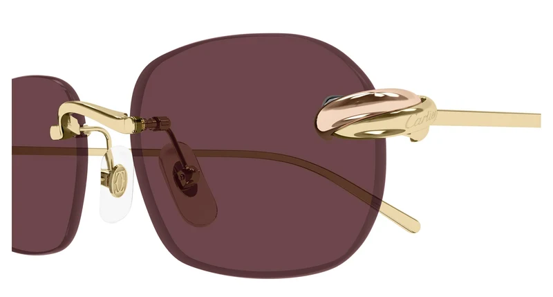 Cartier CT0686S 004 55