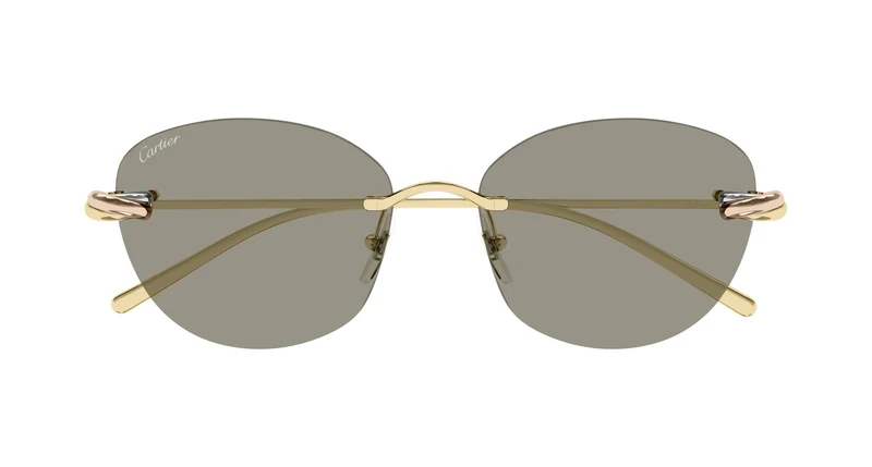 Cartier CT0685S 003 57