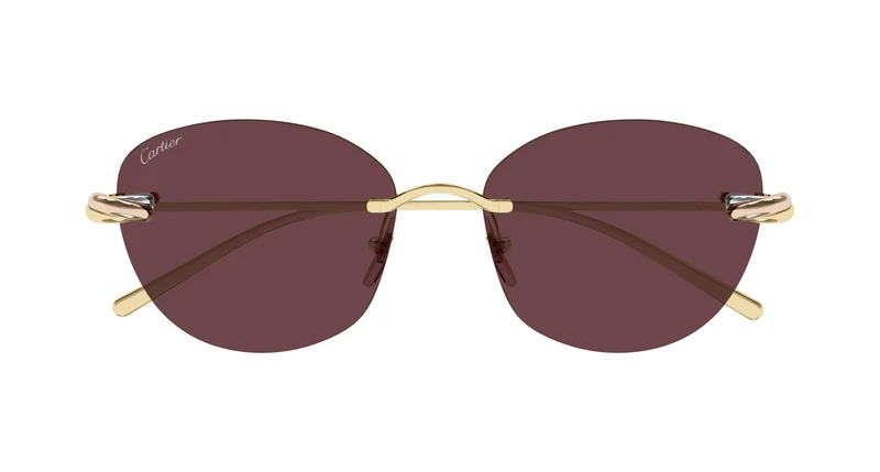 Cartier CT0685S 004 57