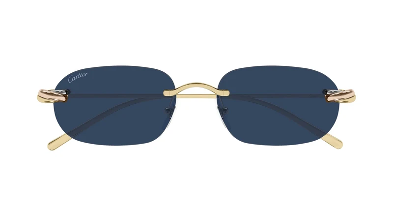 Cartier CT0686S 002 55