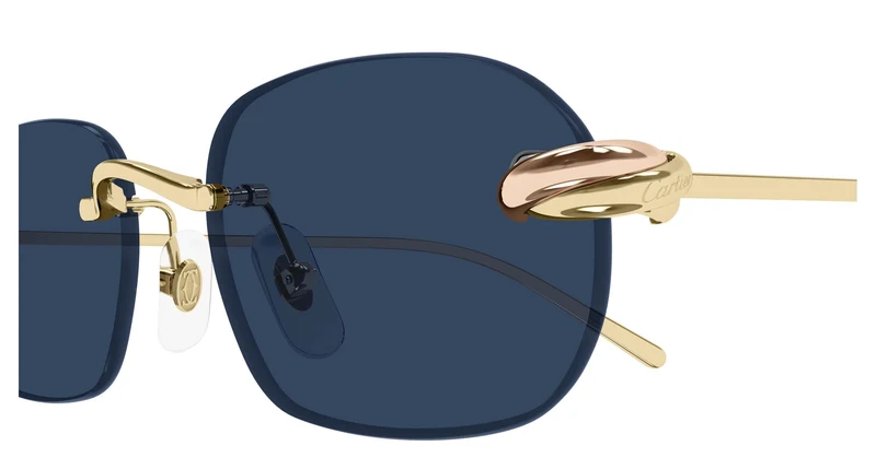 Cartier CT0686S 002 55