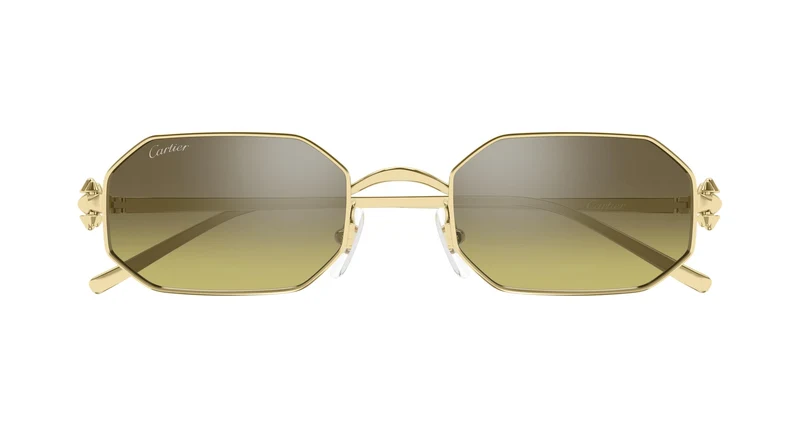 Cartier CT0682S 010 53