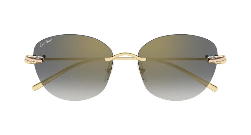 Cartier CT0685S 002 57