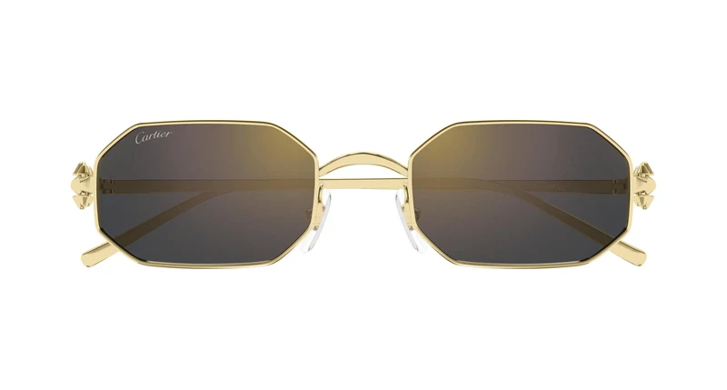 Cartier CT0682S 006 53