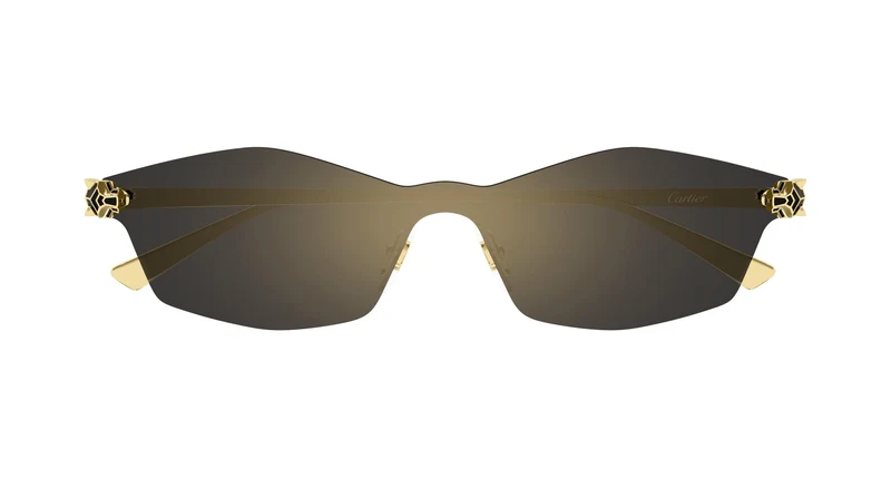 Cartier CT0678S 001 99