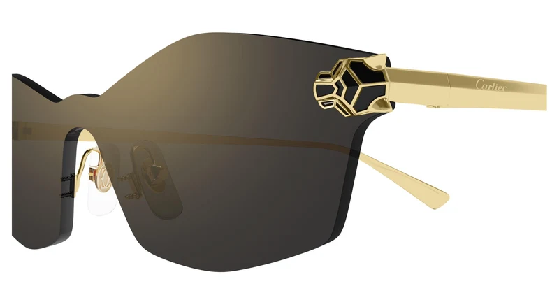 Cartier CT0678S 001 99