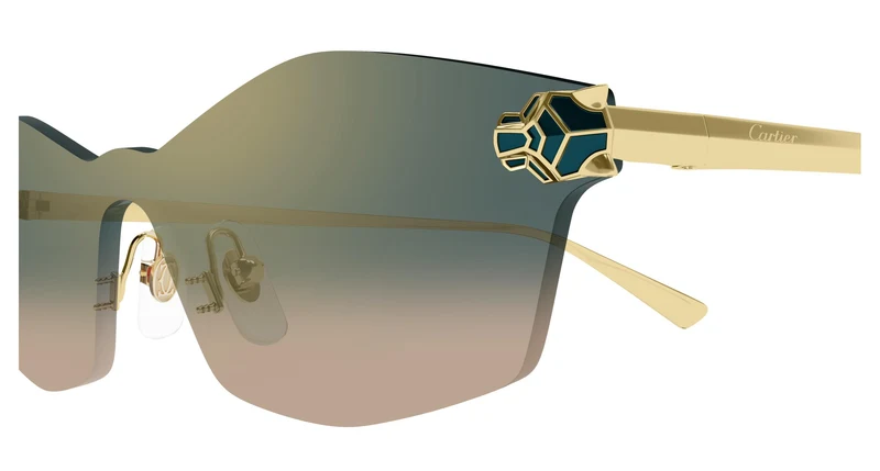Cartier CT0678S 002 99
