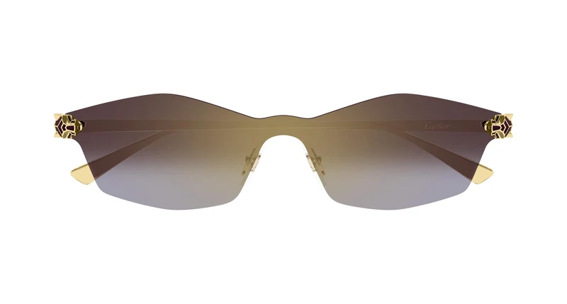 Cartier CT0678S 004 99