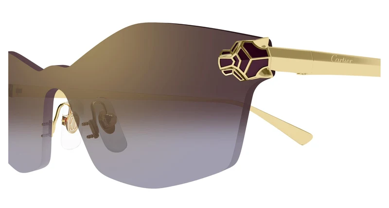 Cartier CT0678S 004 99
