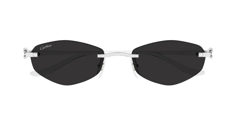 Cartier CT0675S 002 55