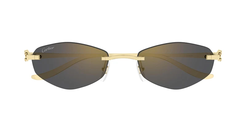 Cartier CT0675S 001 55