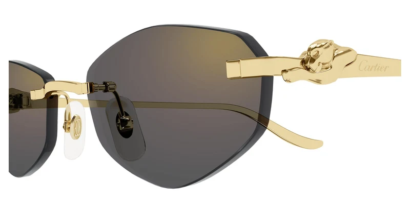 Cartier CT0675S 001 55