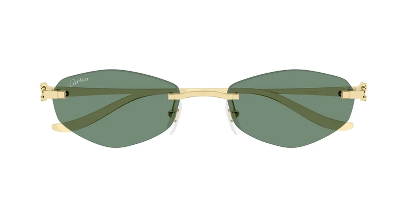Cartier CT0675S 003 55