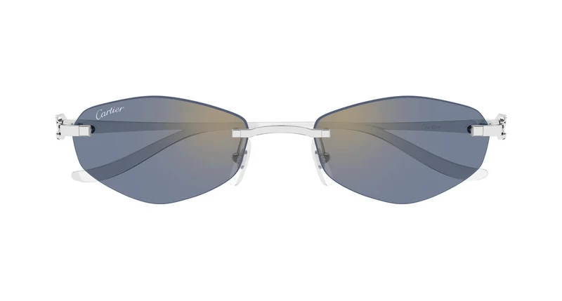 Cartier CT0675S 005 55