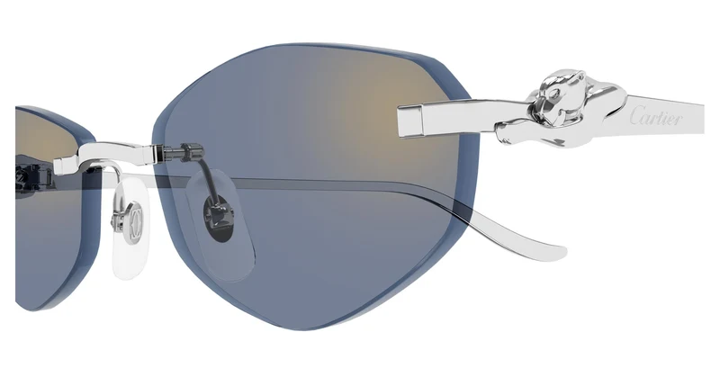 Cartier CT0675S 005 55