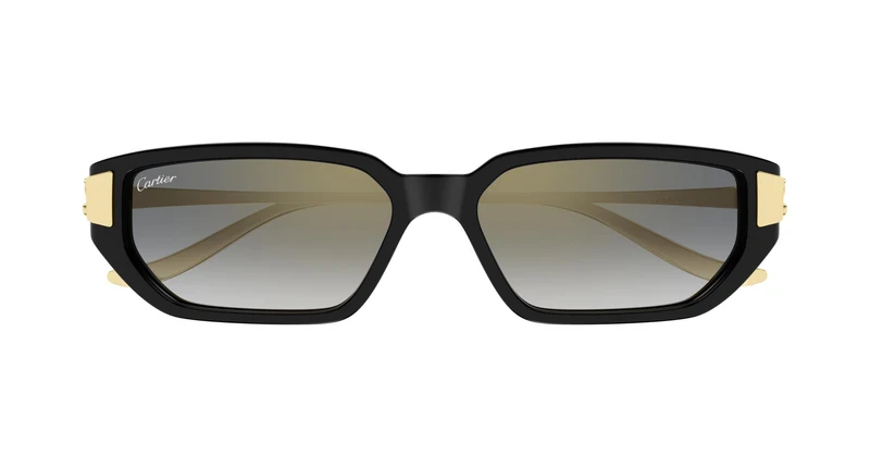 Cartier CT0674S 001 54