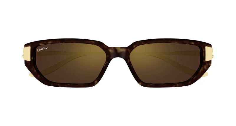 Cartier CT0674S 003 54