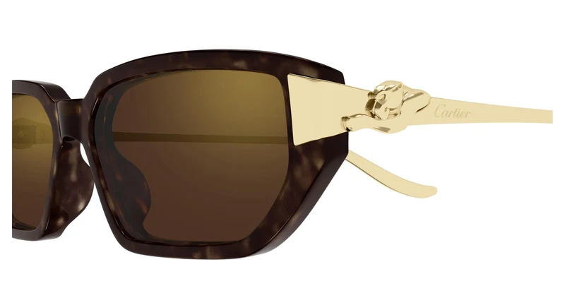 Cartier CT0674S 003 54