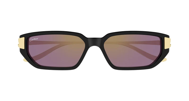 Cartier CT0674S 004 54