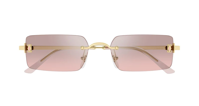 Cartier CT0672S 004 54