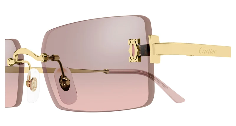 Cartier CT0672S 004 54