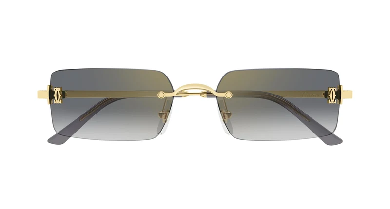 Cartier CT0672S 005 56