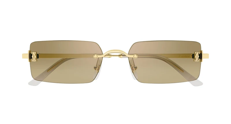 Cartier CT0672S 003 54