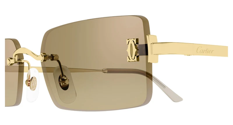 Cartier CT0672S 003 54