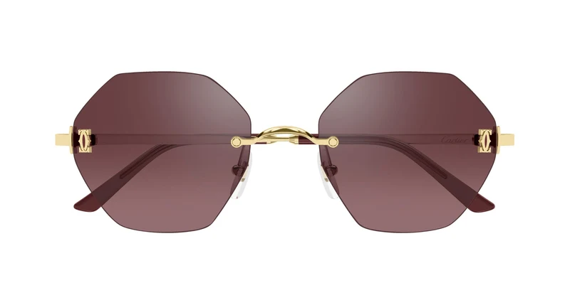 Cartier CT0671S 003 54