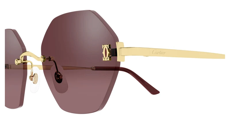 Cartier CT0671S 003 54