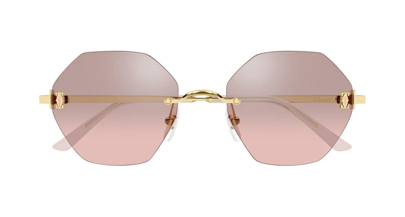 Cartier CT0671S 004 54